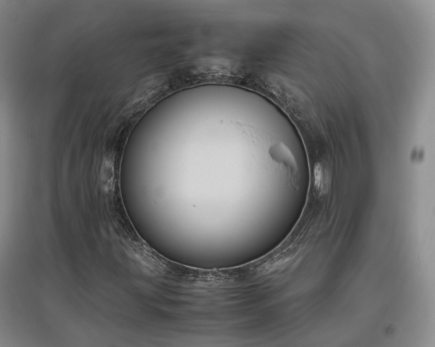 X0000097501203200802221437