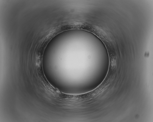 X0000097501204200802221437