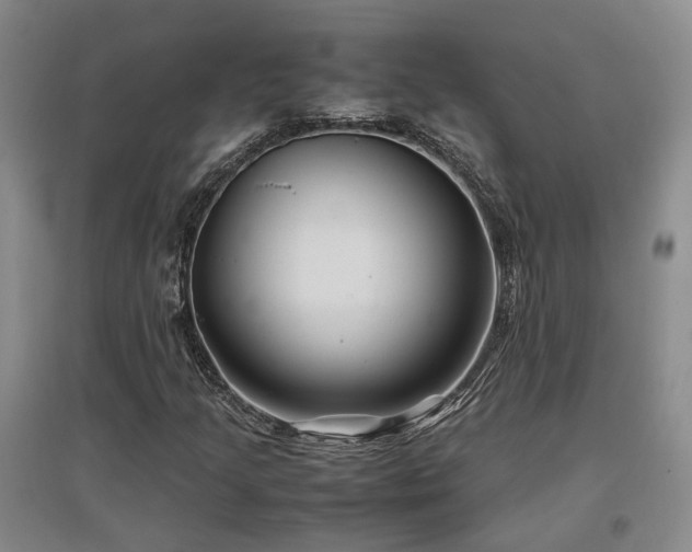 X0000097501205200802221437