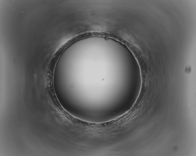 X0000097501208200802221437