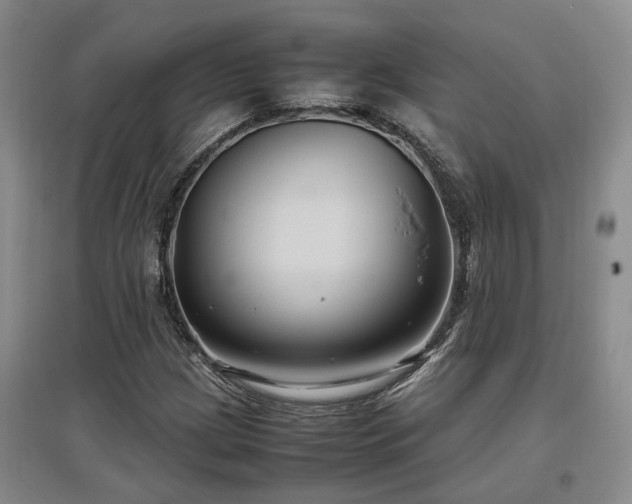 X0000097501209200802221437