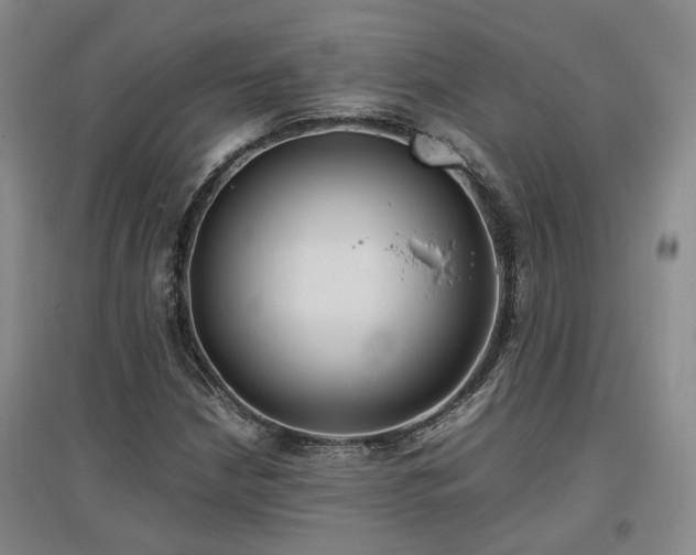 X0000097501210200802221437