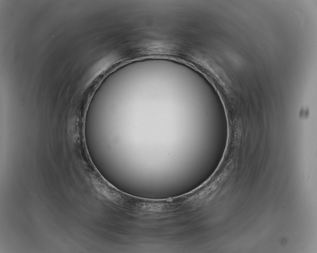 X0000097501211200802221437