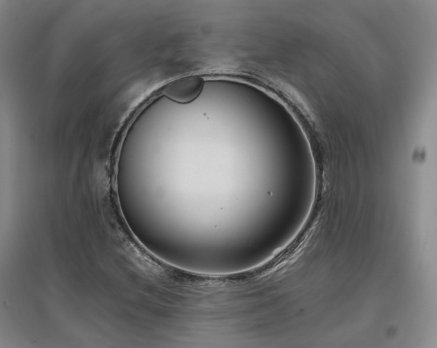 X0000097501212200802221437