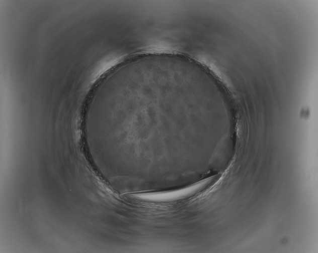 X0000097501213200802221437