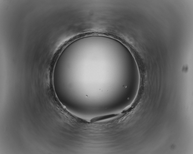 X0000097501214200802221437