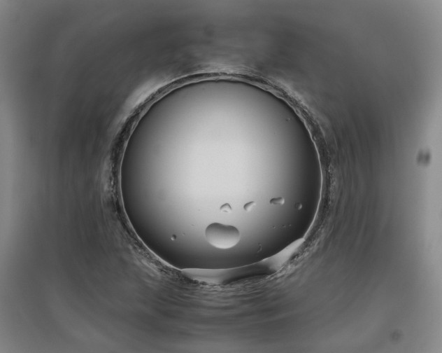 X0000097501215200802221437