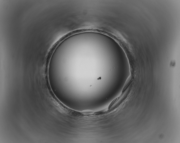 X0000097501216200802221437