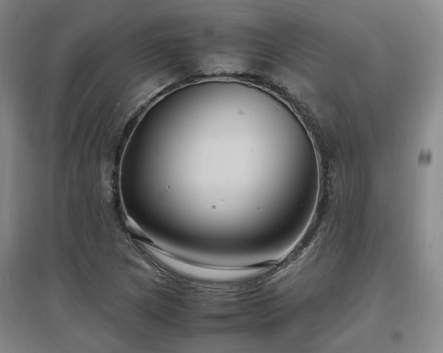 X0000097501217200802221437