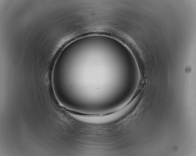 X0000097501218200802221437