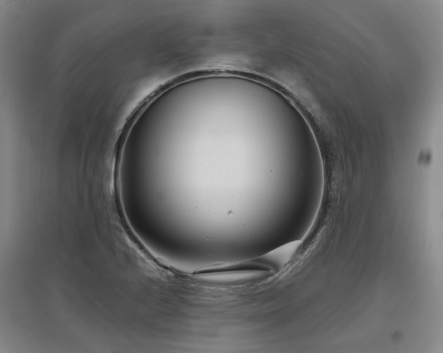 X0000097501224200802221437
