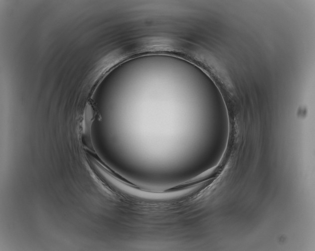 X0000097501225200802221437