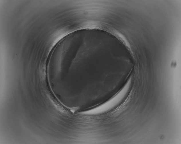 X0000097501226200802221437