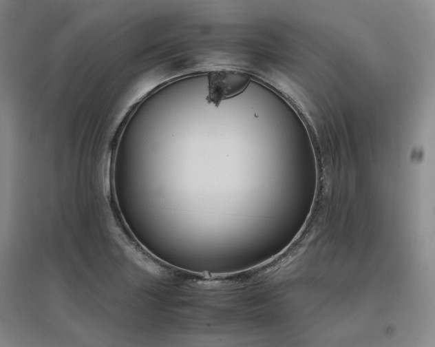 X0000097501227200802221437