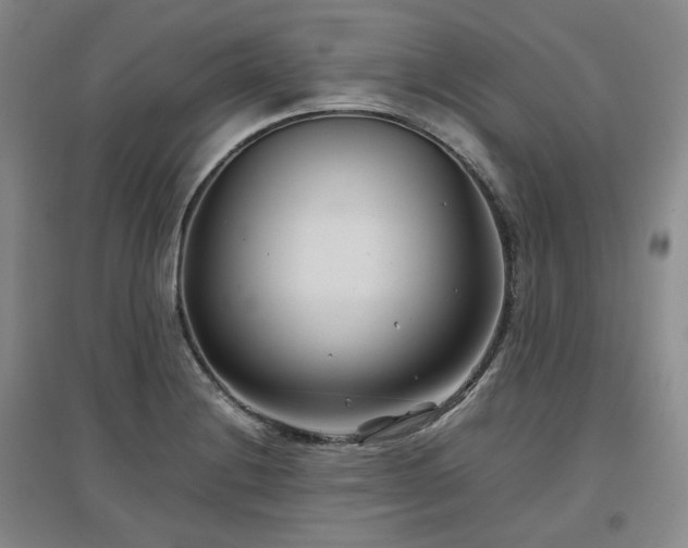 X0000097501228200802221437