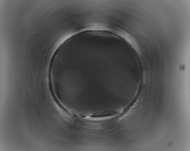 X0000097501229200802221437