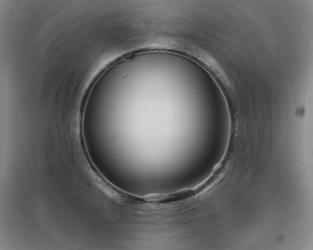 X0000097501232200802221437