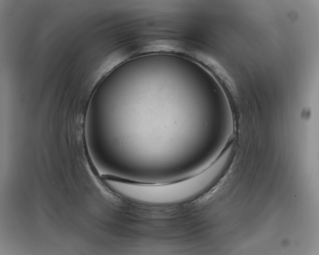 X0000097501233200802221437