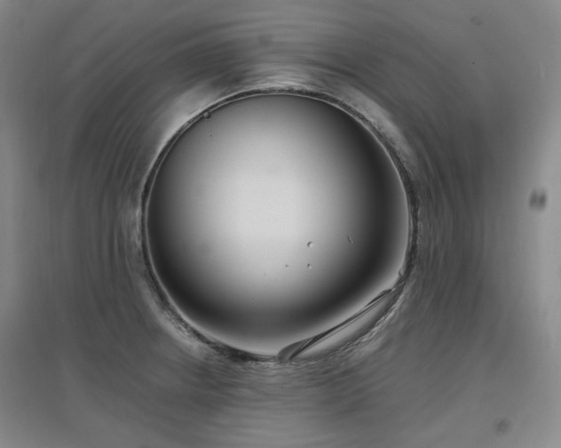 X0000097501234200802221437