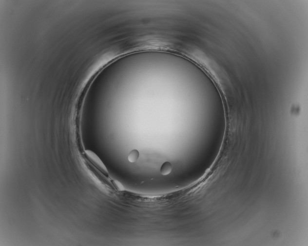 X0000097501235200802221437
