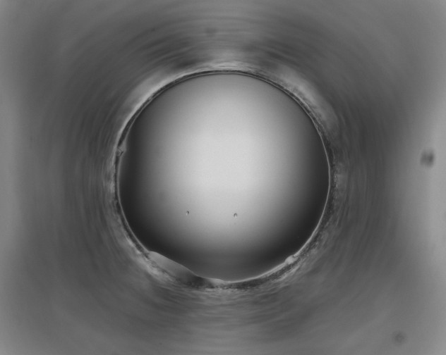 X0000097501236200802221437