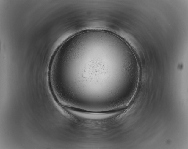 X0000097501237200802221437