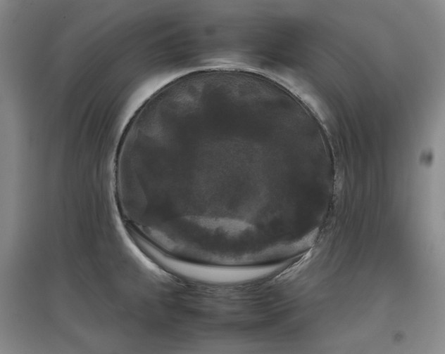 X0000097501239200802221437