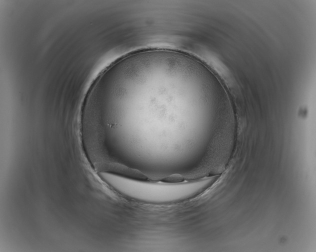 X0000097501240200802221437