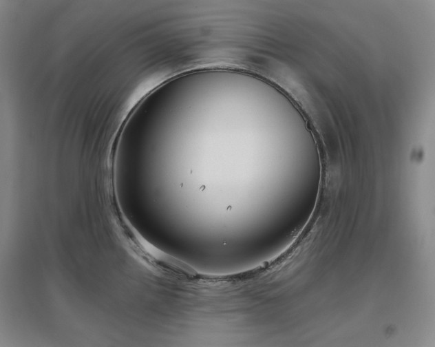 X0000097501242200802221437