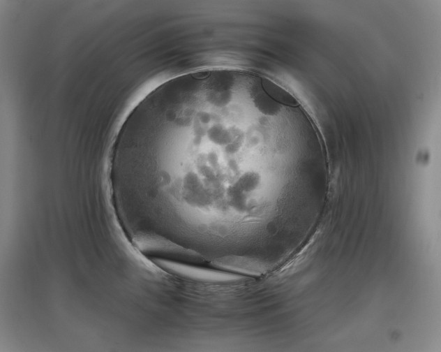 X0000097501243200802221437