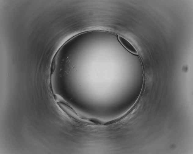 X0000097501244200802221437