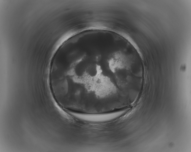 X0000097501245200802221437