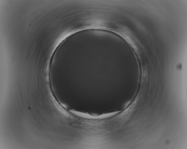 X0000097501246200802221437