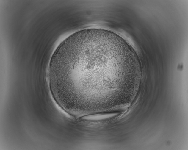 X0000097501247200802221437