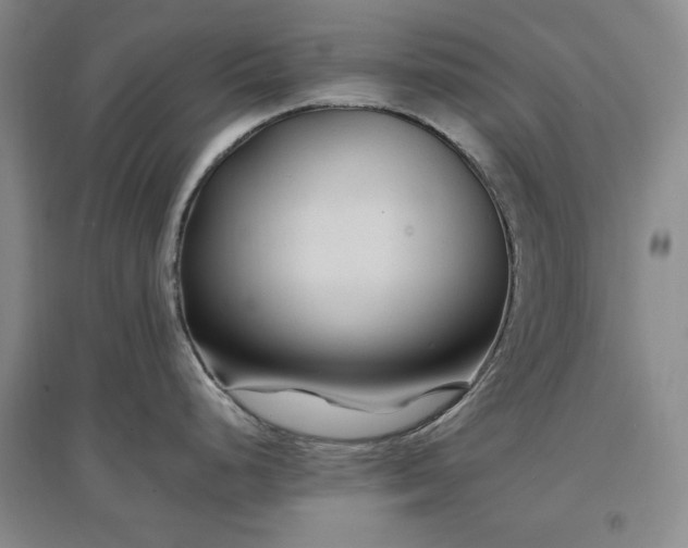 X0000097501248200802221437