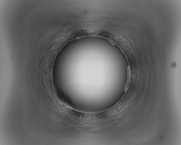 X0000097501249200802221436