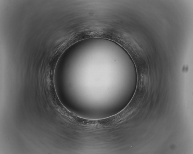 X0000097501250200802221436