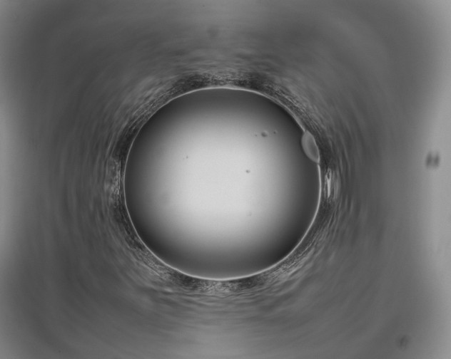 X0000097501251200802221436