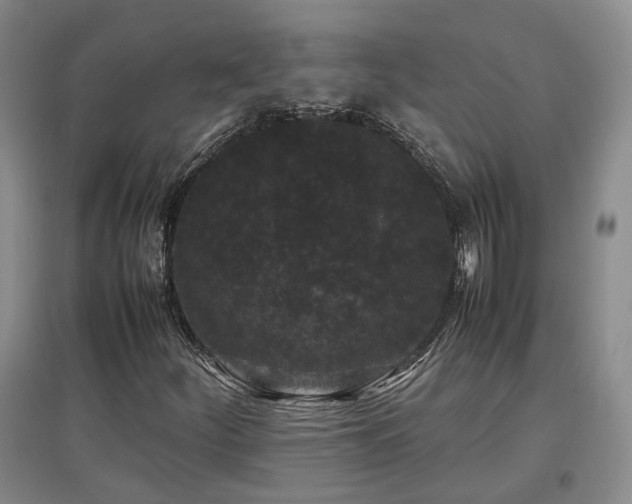 X0000097501252200802221436