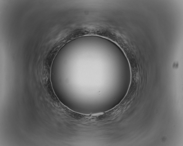 X0000097501253200802221436