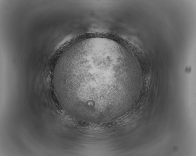 X0000097501254200802221436