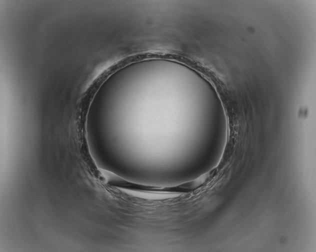 X0000097501256200802221436