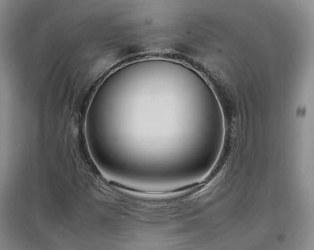 X0000097501257200802221436