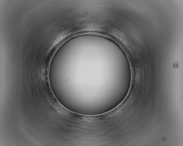 X0000097501258200802221436