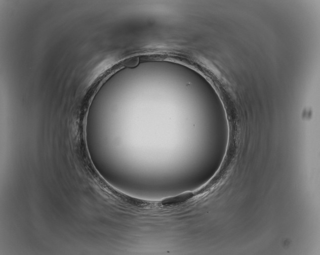 X0000097501259200802221436