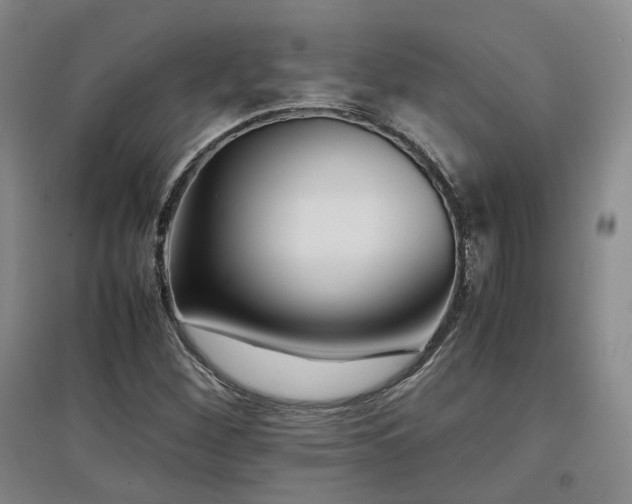 X0000097501260200802221436