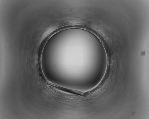 X0000097501261200802221436