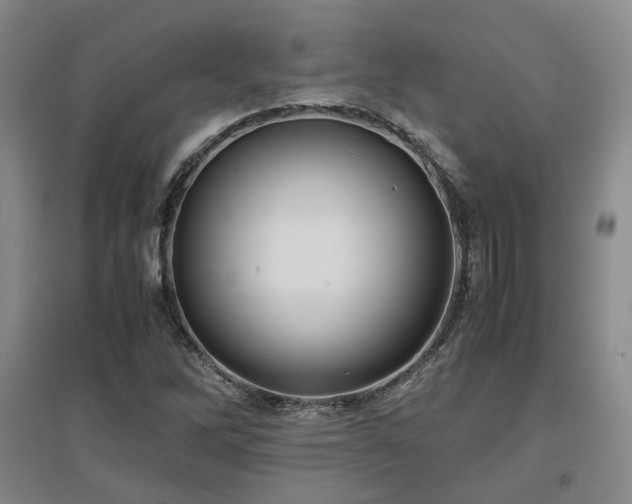 X0000097501262200802221436