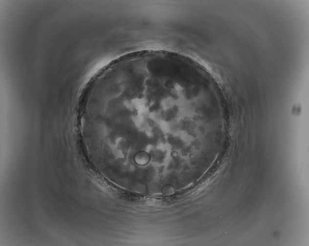 X0000097501263200802221436