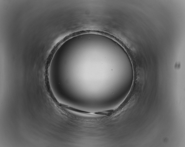 X0000097501264200802221436